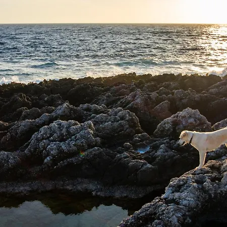 Σπίτι διακοπών White Rock Cave By 