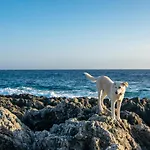 White Rock Cave By 